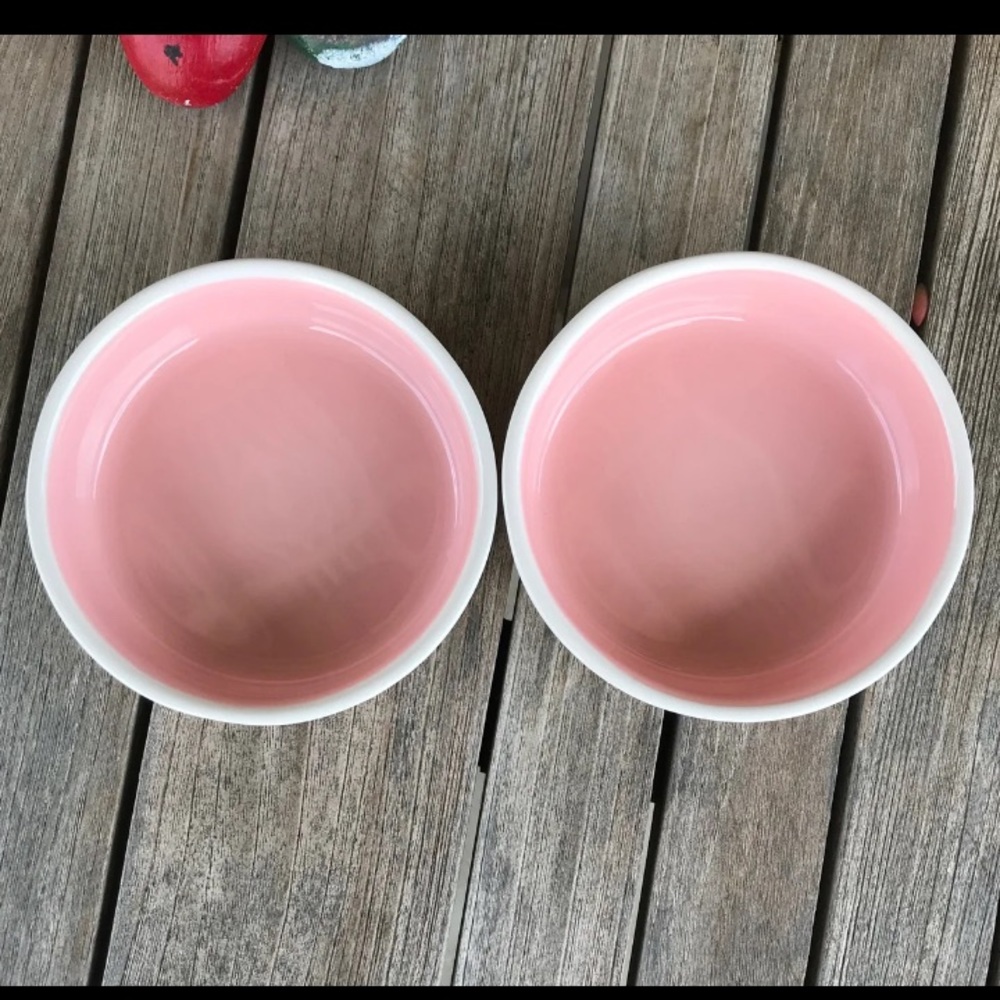 Rae Dunn MUNCH & DRINK Pet Bowl Set - Picture 2 of 2